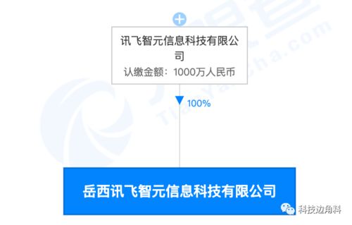科大訊飛深耕智慧教育，岳西訊飛智元公司成立拓展教學裝備與軟件研發(fā)新篇章